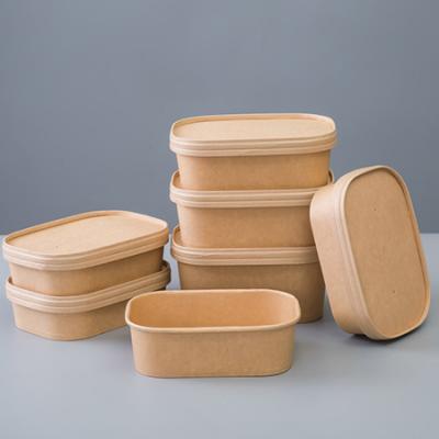 Biodegradable Takeaway Packaging Box for Fast Food