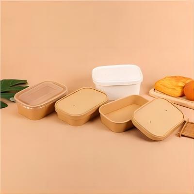Экологичные прямоугольные контейнеры для пищевой бумаги на вынос
        