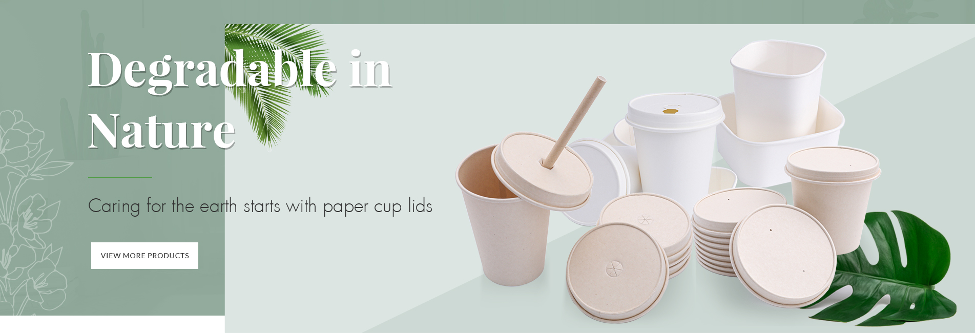 Paper Lids | Paper Cups | Paper Bowls